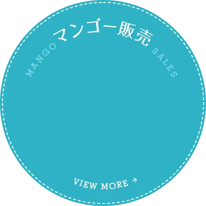 マンゴー販売はこちら