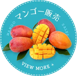 マンゴー販売はこちら