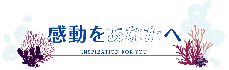 感動をあなたへ