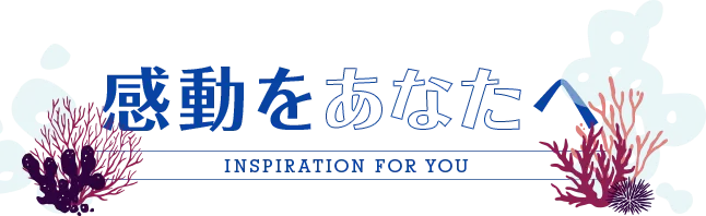 感動をあなたへ